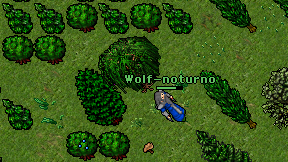 Wolf-noturno on screen