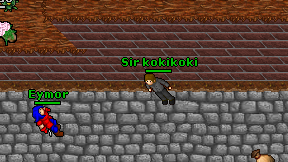 Sir kokikoki on screen