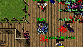 Bizkt on screen