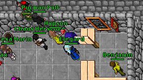 Elegard on screen