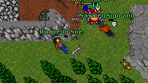 Rafaello'Sne on screen