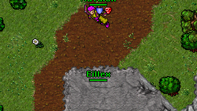 Eillex on screen