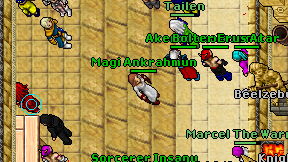 Magi Ankrahmun on screen