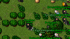 Casher on screen