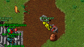 Kenyer on screen