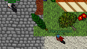 Clex pancho on screen