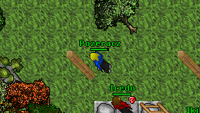 Pozeracz on screen