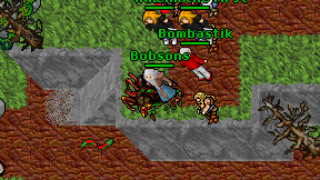Bobsons on screen
