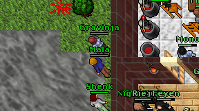 Gravinja on screen