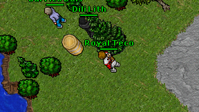 Royal Teco on screen