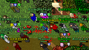 Diterer on screen