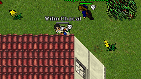 Wilin Chacal on screen