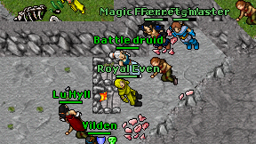 Battle druid on screen