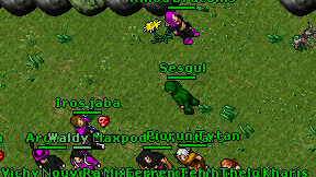 Sesgul on screen