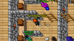 Freddy Sho on screen