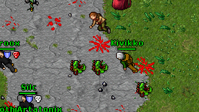 Kivikko on screen