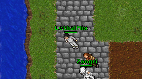 Lethal Mix on screen