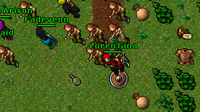 Zoren Gina on screen