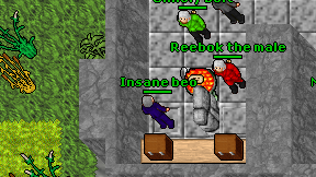 Insane beo on screen