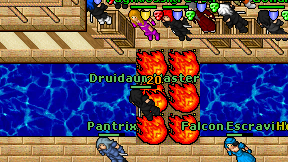 Druidaum Master on screen