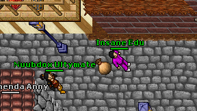 Insane Edu on screen