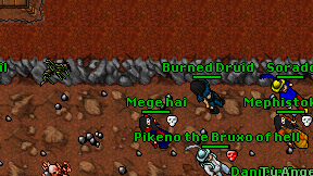 Burned Druid on screen