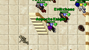 Aspecto Knight on screen
