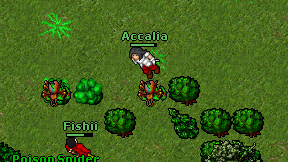 Accalia on screen