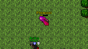Plomuxi on screen
