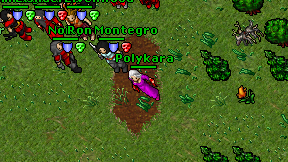Polykara on screen