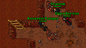 Assassin Ranger on screen