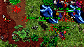 Immortal Saffron on screen