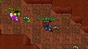 Sal Wedge on screen