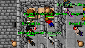 Markkco on screen