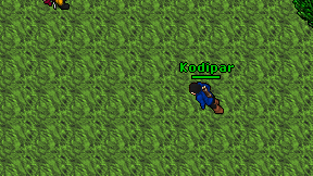 Kodipar on screen