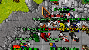 Mavas Druid on screen