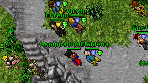 Nepippaul Abitanoxa on screen