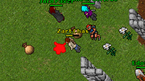 Zart Chas on screen