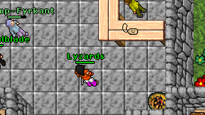 Lyzards on screen