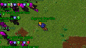 Agrro Berlin on screen