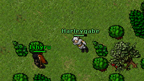 Harleygabe on screen