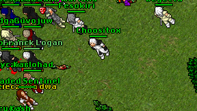 Choositox on screen