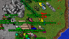 Raiize on screen