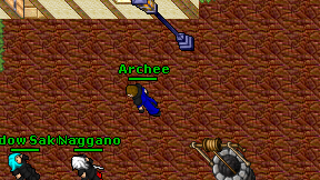 Archee on screen
