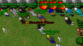 Shadow Winer on screen