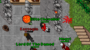 Elite Chevalier on screen