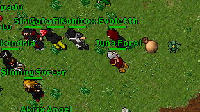 Juna Forel on screen