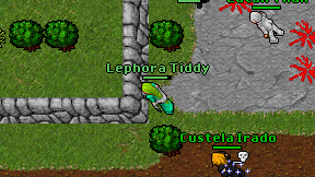 Lephora Tiddy on screen