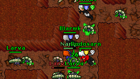 Narqx on screen