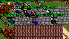 Nelceta on screen